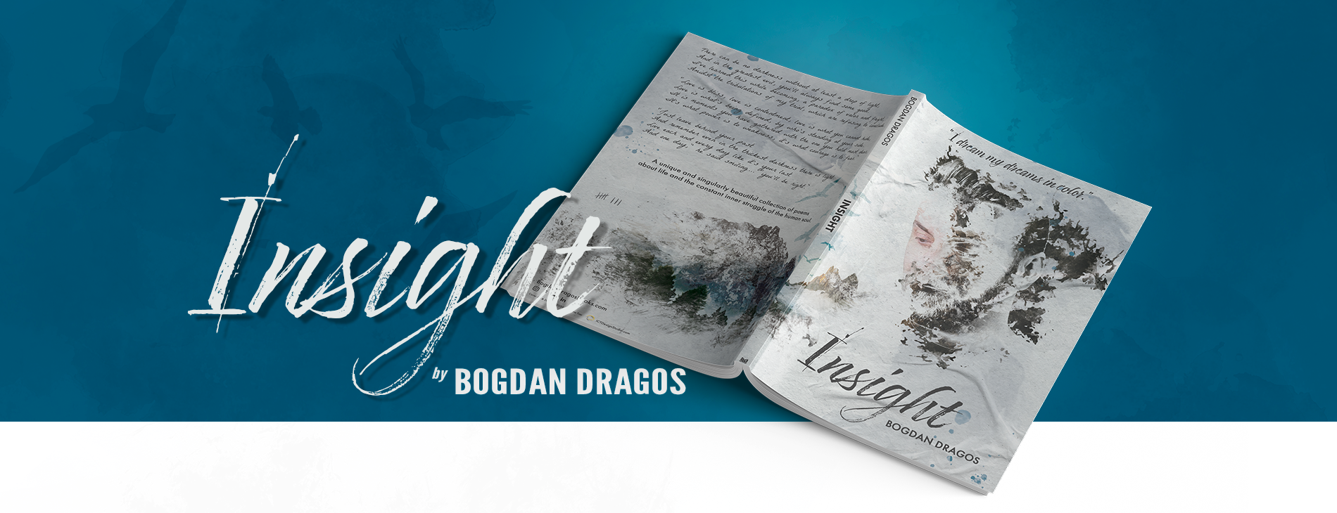 Insight, by Bogdan Dragos