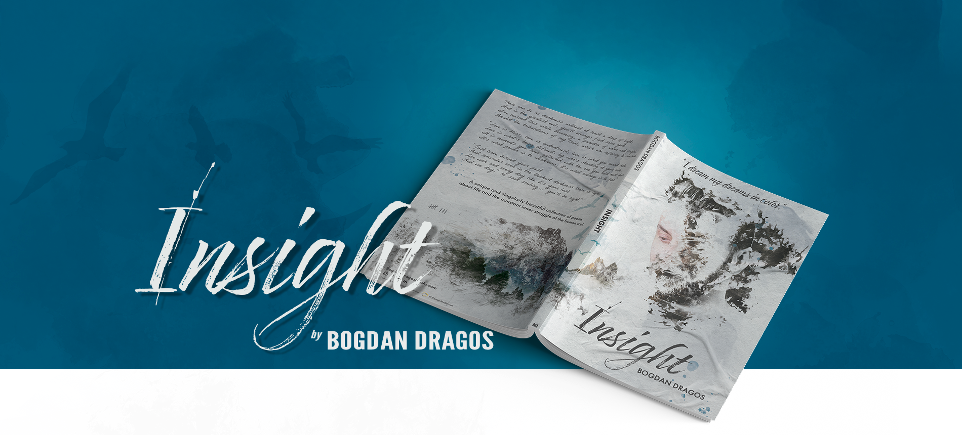 Insight, by Bogdan Dragos