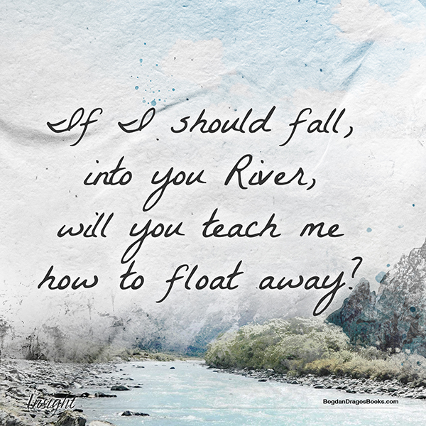 Insight, by Bogdan Dragos