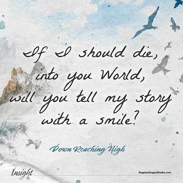 Insight, by Bogdan Dragos